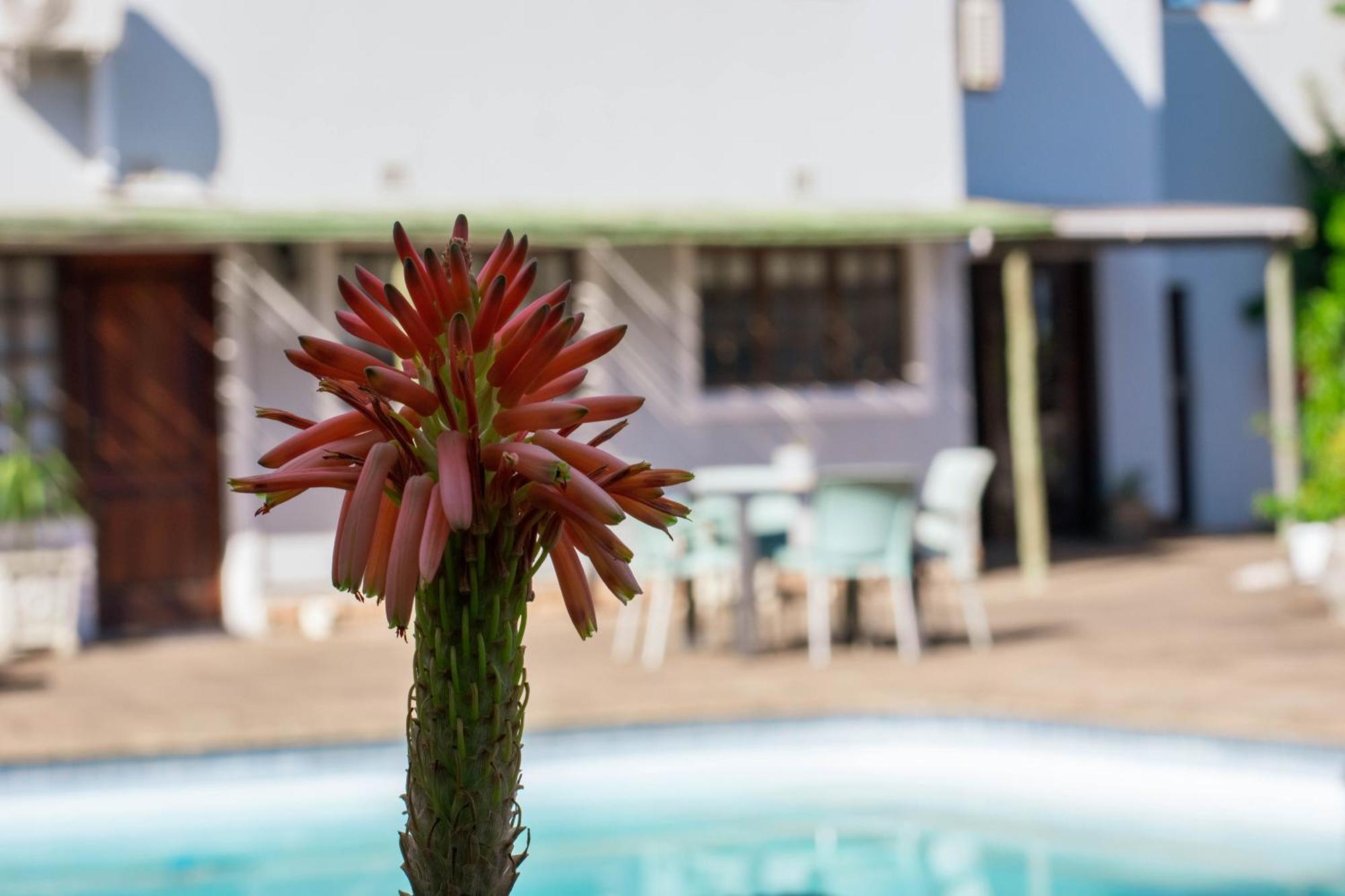 African Sands B&B Amanzimtoti Exterior foto